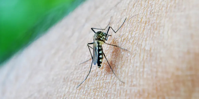 Foto de capa da notícia