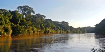 Imagem de capa da notícia