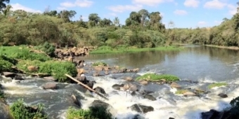 Imagem de capa da notícia