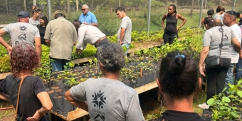 Imagem de capa da notícia