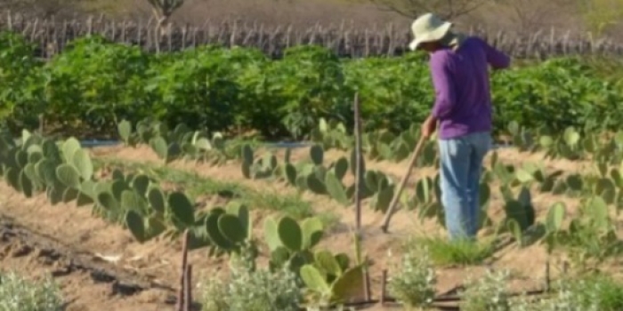 Foto de capa da notícia
