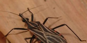 Imagem de capa da notícia