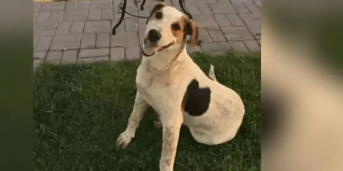 Foto de capa da notícia