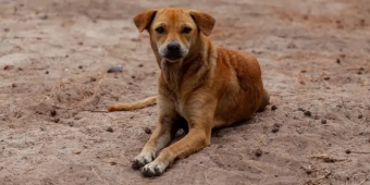 Imagem de capa da notícia