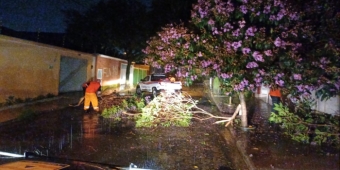Imagem de capa da notícia
