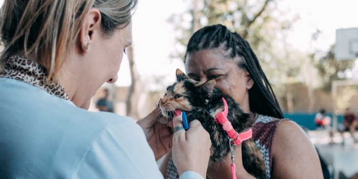 Foto de capa da notícia