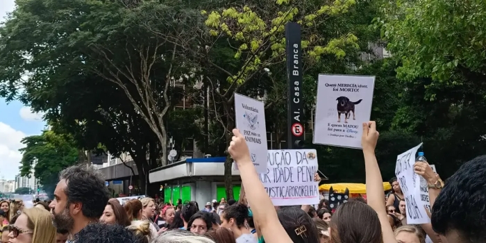 Foto de capa da notícia