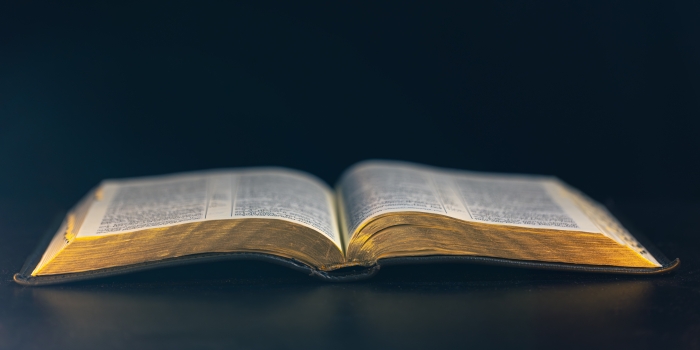 Foto de capa da notícia