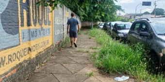 Imagem de capa da notícia