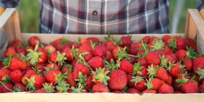 Foto de capa da notícia