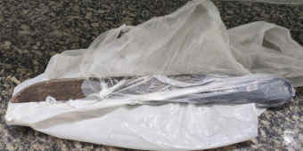 Imagem de capa da notícia