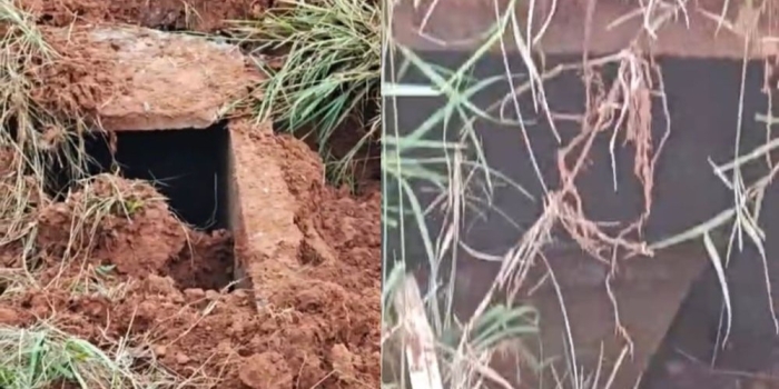 Foto de capa da notícia