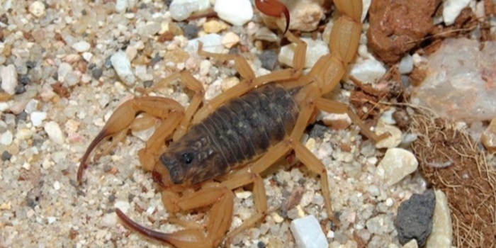 Foto de capa da notícia