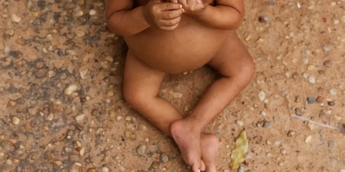 Foto de capa da notícia