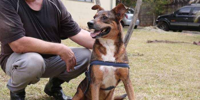 Foto de capa da notícia