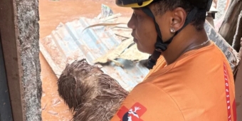 Imagem de capa da notícia