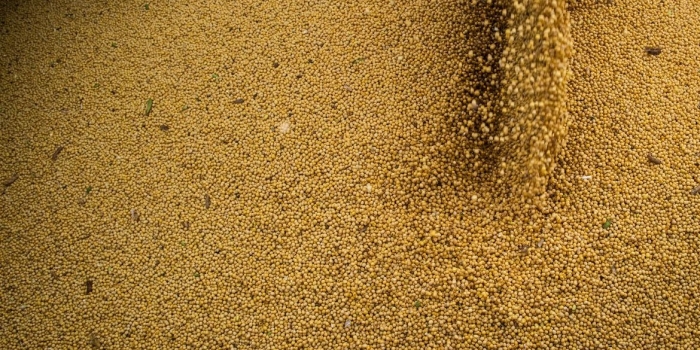 Foto de capa da notícia