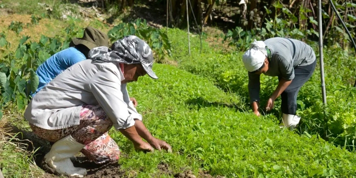 Foto de capa da notícia