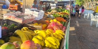 Imagem de capa da notícia