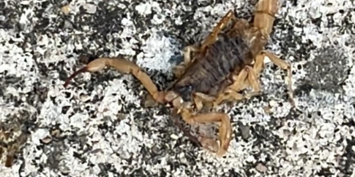 Foto de capa da notícia