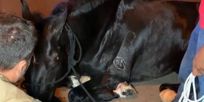 Foto de capa da notícia