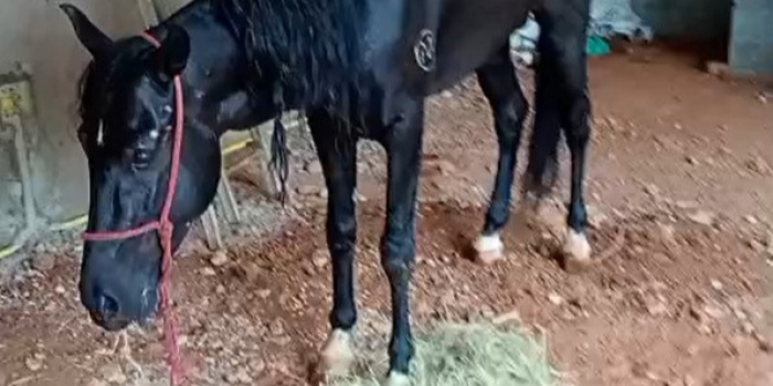 Foto de capa da notícia