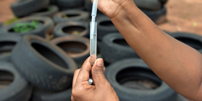 Foto de capa da notícia