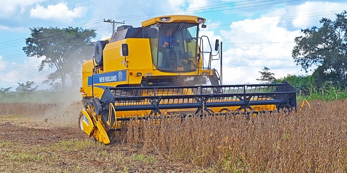 Foto de capa da notícia