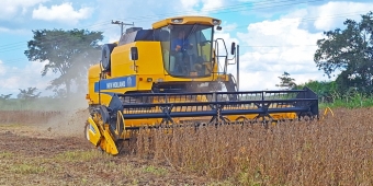 Imagem de capa da notícia