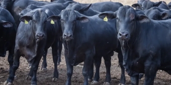 Imagem de capa da notícia