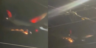 Imagem de capa da notícia