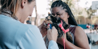 Imagem de capa da notícia