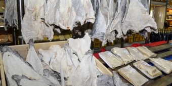 Imagem de capa da notícia