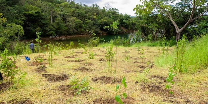 Foto de capa da notícia