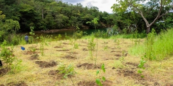 Imagem de capa da notícia