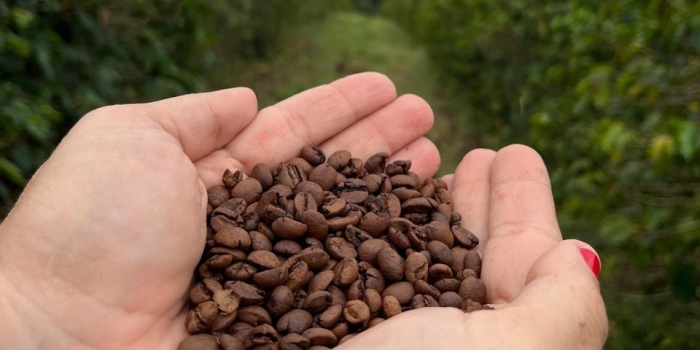 Foto de capa da notícia