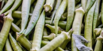 Imagem de capa da notícia