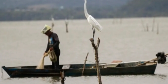 Imagem de capa da notícia