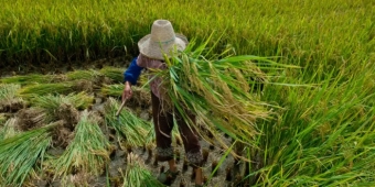 Imagem de capa da notícia