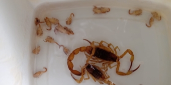 Imagem de capa da notícia