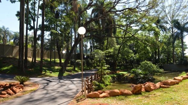 Foto de capa da notícia