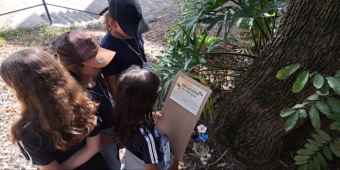 Imagem de capa da notícia