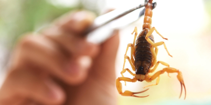 Foto de capa da notícia