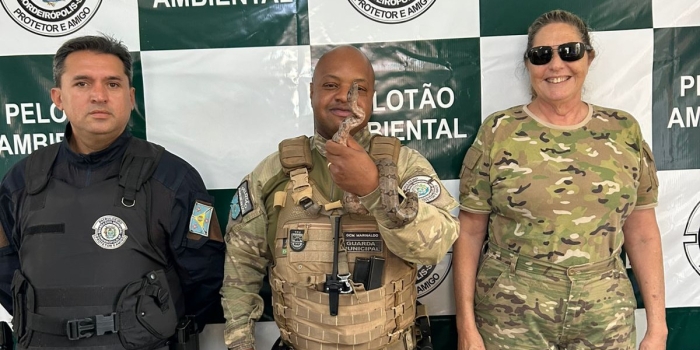 Foto de capa da notícia