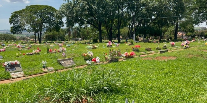 Foto de capa da notícia