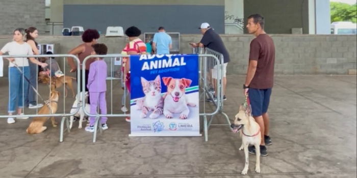 Foto de capa da notícia