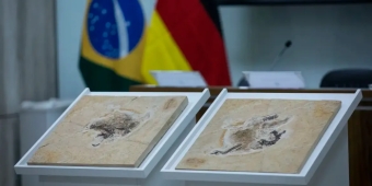 Imagem de capa da notícia