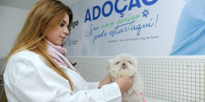 Foto de capa da notícia