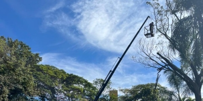 Foto de capa da notícia
