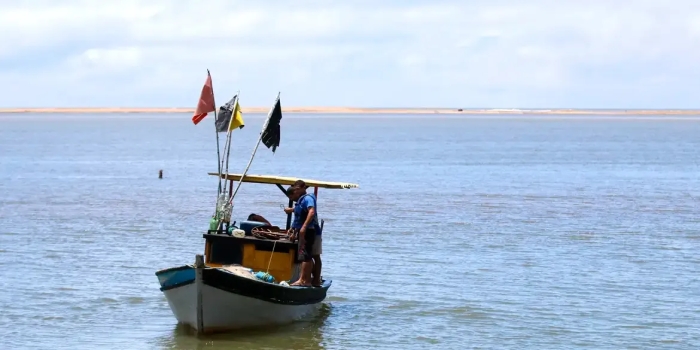 Foto de capa da notícia
